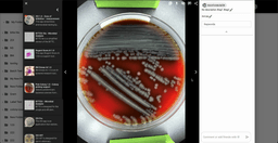 Screenshot of a ListPage in Saas UI Pro